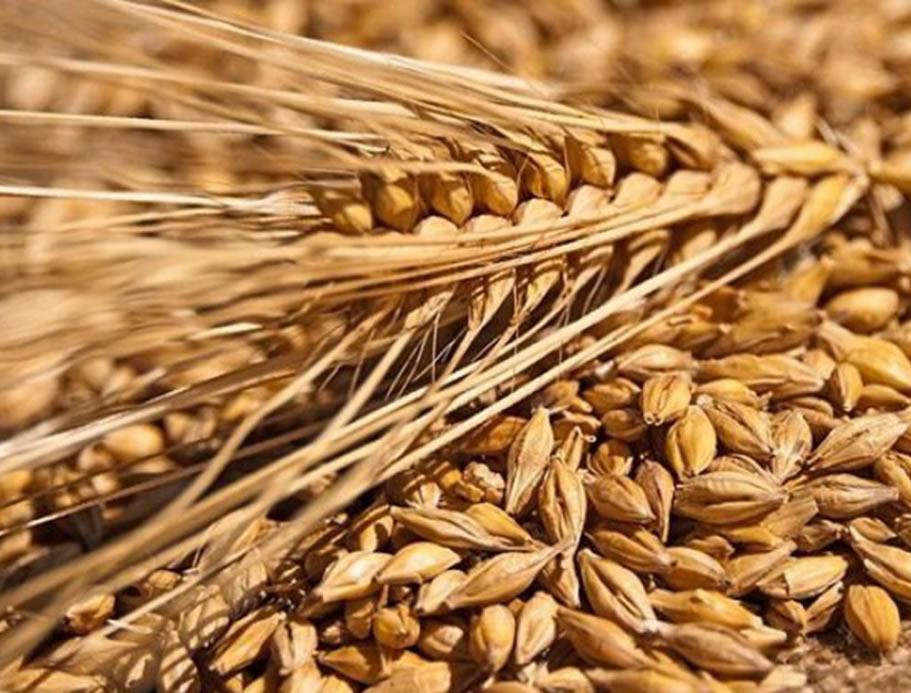 过敏性鼻炎的症状及调理方法与步骤